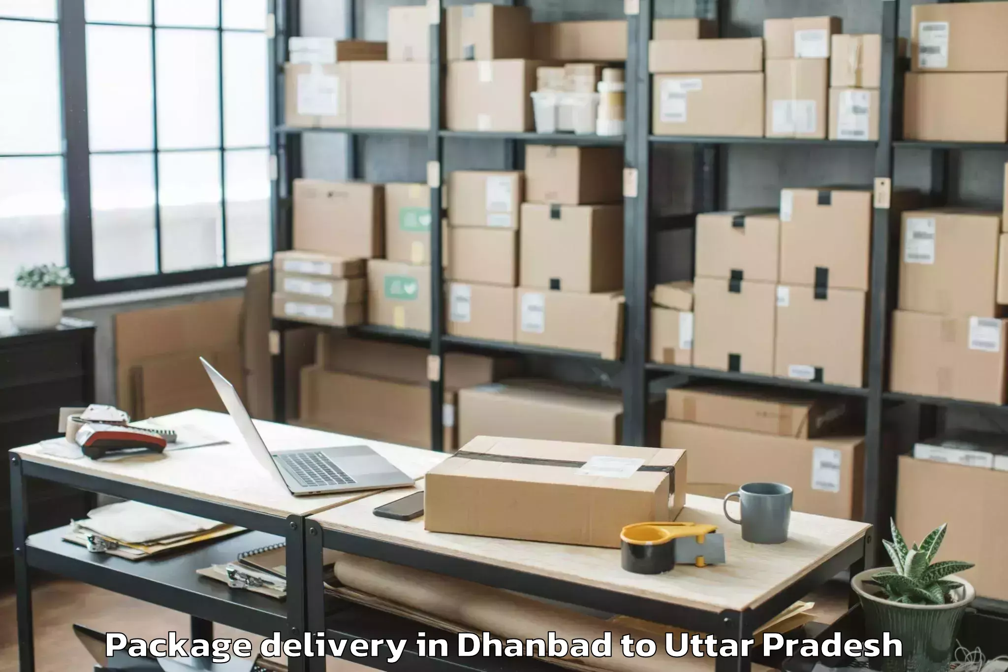 Professional Dhanbad to Kulpahar Package Delivery